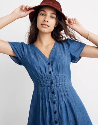 Denim best sale daylily dress