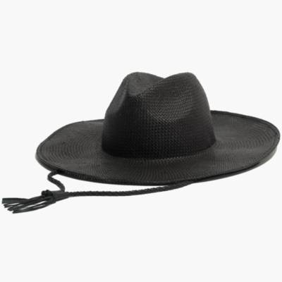 Wide-Brimmed Straw Fedora Hat with Leather Cord : hats | Madewell