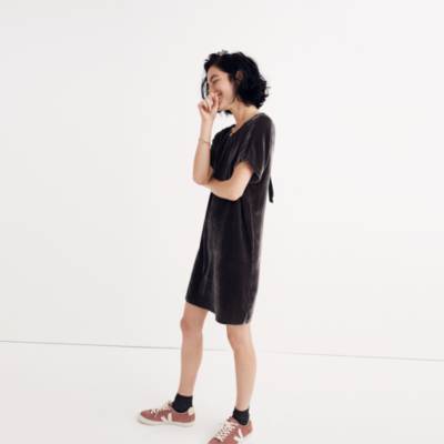 velvet dress madewell