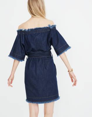 karen walker denim dress