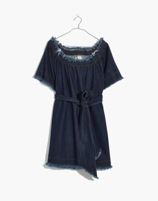 karen walker denim dress