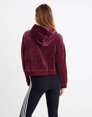 adidas velvet cropped hoodie sweatshirt