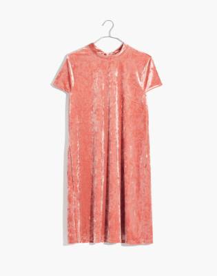 velvet dress madewell