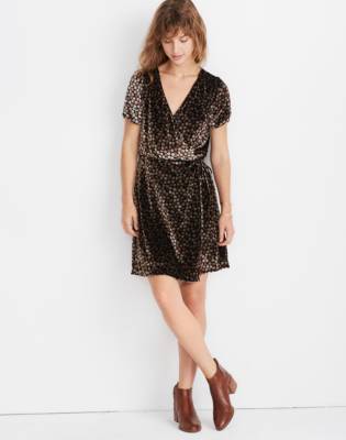 velvet dress madewell