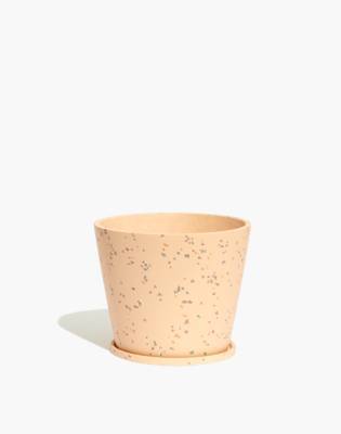 madewell terrazzo