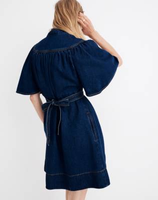 karen walker denim dress