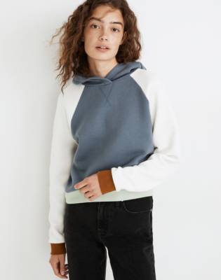 colorblocked sweatshirt