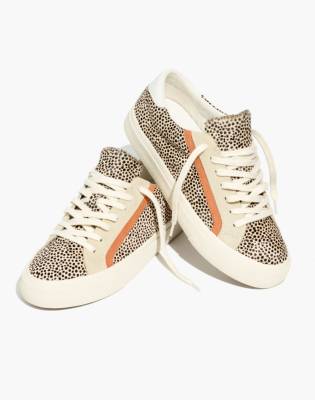 dalmatian print trainers